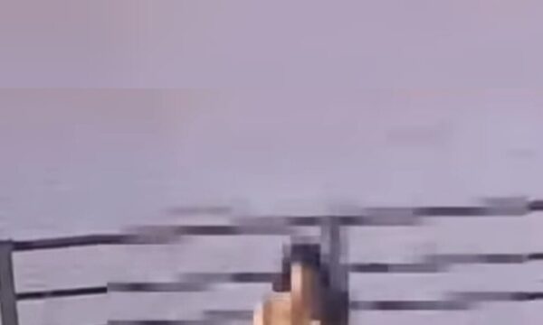 (VIDEO) En plena costanera de Encarnación parejita le bajó al “ya tu sabes”