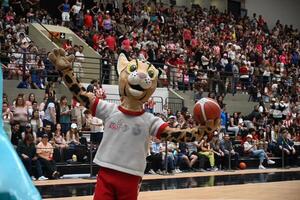 Ejecutivo conforma comisión para organización de grandes eventos deportivos - .::Agencia IP::.