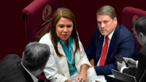 Cartismo analiza impulsar sanción a Celeste Amarilla en el Senado por "insulto" a Antonio Barrios