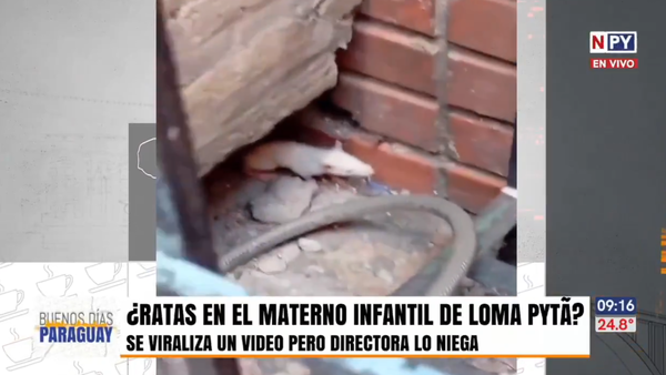 Hospital de Loma Pytã: Denuncian presencia de alimañas, pero directora lo niega