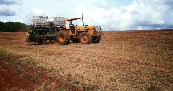 La Nación / La AFD ya destinó cerca de G. 1,3 billones en el sector agrícola y ganadero
