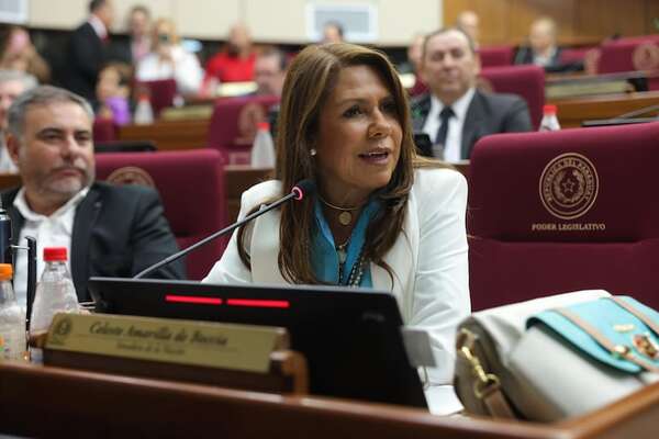 “Es una cortina de humo por el tema Mario Abdo”, responde Celeste Amarilla sobre amenaza de cartistas - Política - ABC Color