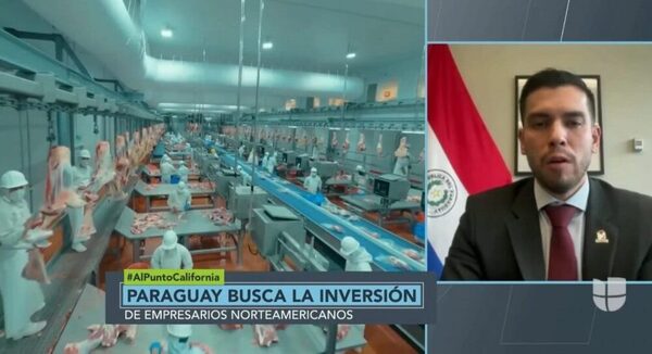 Rediex pretende convertirse en una plataforma confiable para la llegada de inversionistas