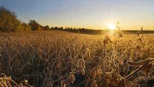 Ministerio de Economía pronosticó un 2025 difícil debido a la sequía que afecta la producción agropecuaria
