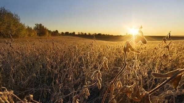 Ministerio de Economía pronosticó un 2025 difícil debido a la sequía que afecta la producción agropecuaria