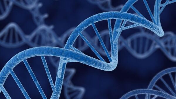 Estudio proporciona el compendio más completo de las funciones de los genes humanos