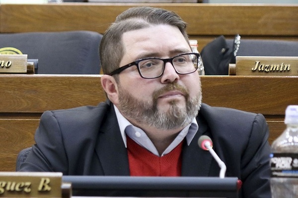 Diputado plantea proyecto para «reelección indefinida» de intendentes