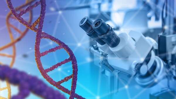 Un estudio proporciona el compendio más completo de las funciones de los genes humanos - Mundo - ABC Color
