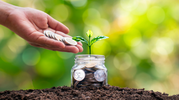 Invertir para principiantes: c贸mo hacer crecer tu dinero de manera segura