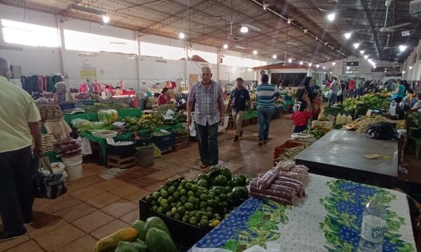 Burocracia impide a pequeños productores de A. Paraná vender a proveedoras de “Hambre Cero” – Diario TNPRESS