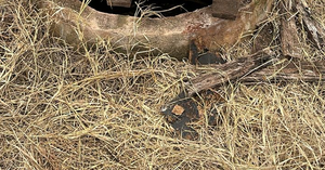 Niña cae en un pozo de 15 metros y es rescatada por vecinos en Minga Guazú - Noticiero Paraguay