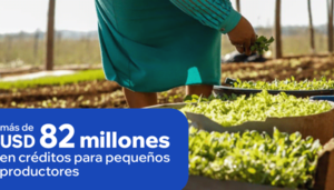 Gobierno realiza la campaña "Estamos con el Campo" para informar sobre beneficios para productores - Noticiero Paraguay