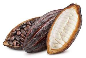 Los beneficios del cacao en la cocina: más que un simple ingrediente - Gastronomía - ABC Color