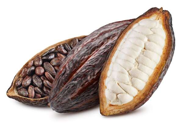 Los beneficios del cacao en la cocina: más que un simple ingrediente - Gastronomía - ABC Color