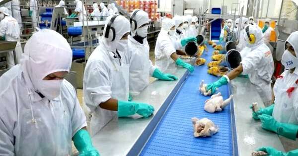 La Nación / Aguardan resolución final de Taiwán para abrir el mercado para la carne avícola