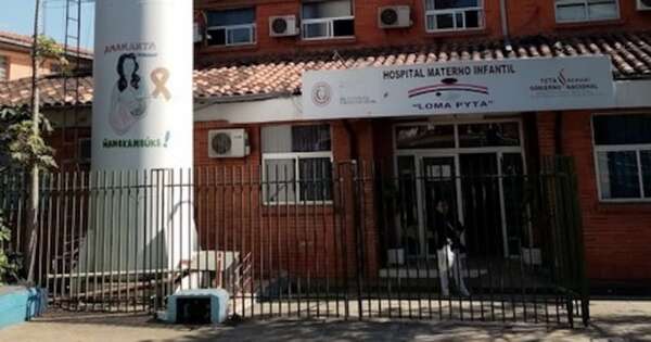 La Nación / Afirman que exfuncionarios montaron video de supuesta invasión de ratas en un hospital