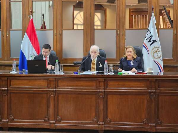 Jurado fija plazo para analizar investigación o enjuiciamiento en caso metrobús - Nacionales - ABC Color