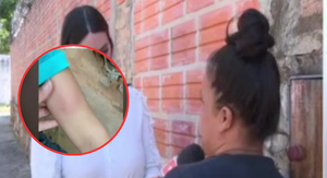Invasión de abejas en una escuela de Asunción - SNT