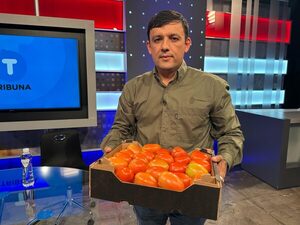 El proyecto de industrialización del tomate: impacto en la producción y exportación paraguaya - .::Agencia IP::.