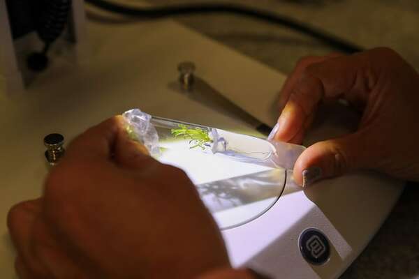 Solo 22% de universitarios iberoamericanos cursan carreras STEM, entre ellos de Paraguay - Ciencia - ABC Color