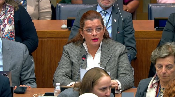 UN: Paraguay reaffirms commitment to promoting equal opportunities for women - .::Agencia IP::.