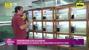 Pasión por los acuarios: descubrimos el mundo del paisajismo acuático - Ensiestados - ABC Color