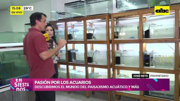 Pasión por los acuarios: descubrimos el mundo del paisajismo acuático - Ensiestados - ABC Color