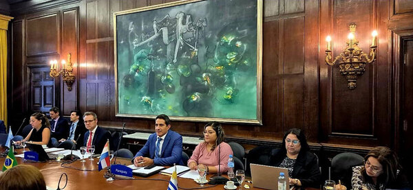 Paraguay participó en reuniones del Grupo de Relacionamiento Externo del Mercosur - .::Agencia IP::.