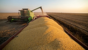Comercio exterior cerró febrero con superávit de USD 14 millones