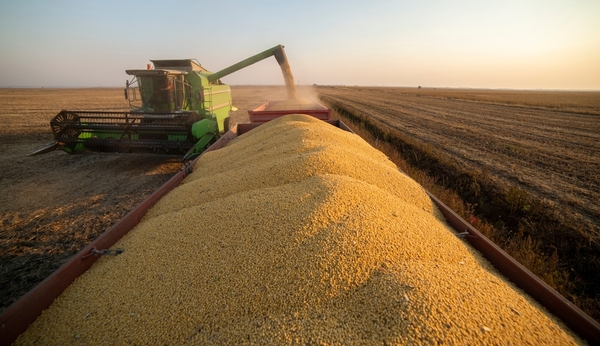 Comercio exterior cerró febrero con superávit de USD 14 millones