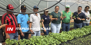 INVERNADEROS DE CECTEC Y SAN PEDRO APÓSTOL YA PRODUCEN PLANTINES