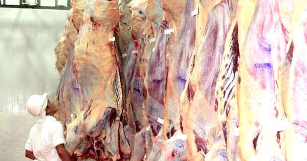 La Nación / Sin acceso a China, Paraguay busca mercados alternativos en Asia para su carne