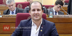 CARLOS PEREIRA INSTÓ A LA ANDE MEJORAS PARA ALUMBRADO PÚBLICO EN ENCARNACIÓN