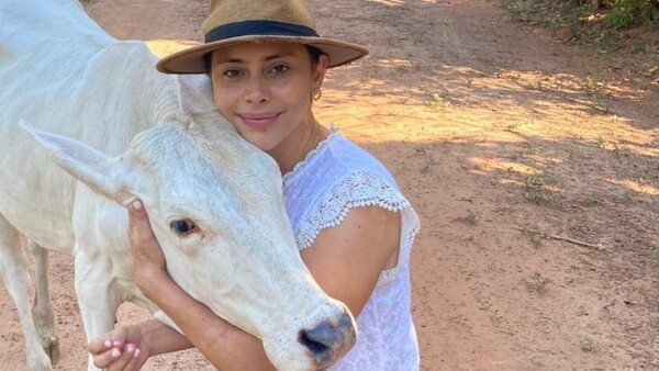 Chiquitita: La vaquilla que conquista en TikTok con sus travesuras como mascota