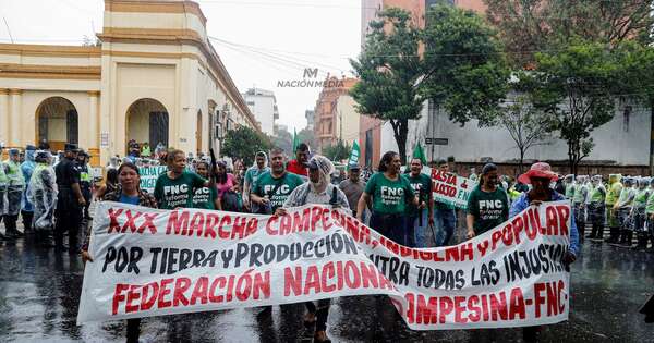Diario HOY | Alliana, a favor de la marcha campesina, pero en contra los cazadores de rédito político