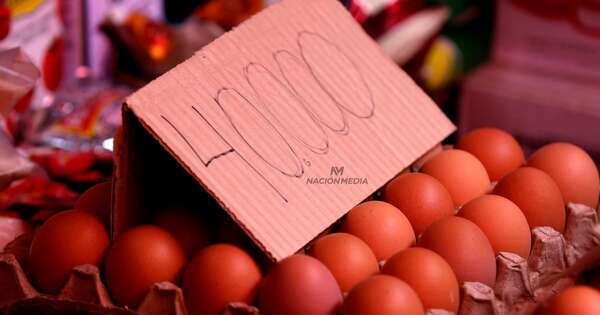 Diario HOY | Los precios del huevo que anuncia Avipar para Semana Santa