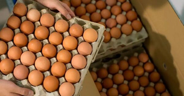 Precio del huevo podría seguir aumentando a medida se acerca Semana Santa - 1000 Noticias