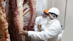 Australia: se prevén récords de producción mientras cae el stock