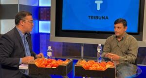 Paraguay consume 220 toneladas de tomate por día y hay tendencia al aumento