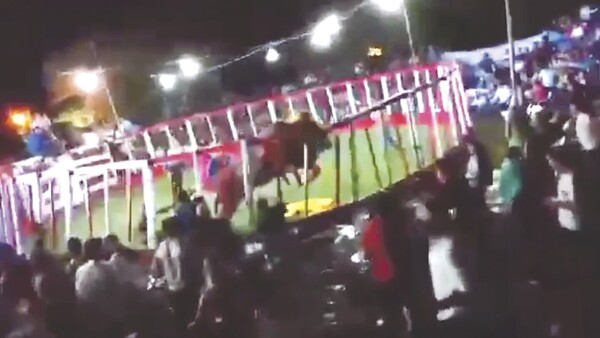 Toro se escapó y causó susto en las patronales