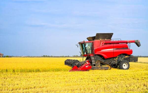 Paraguay creció 52% en área sembrada de arroz - ABC Campo - ABC Color