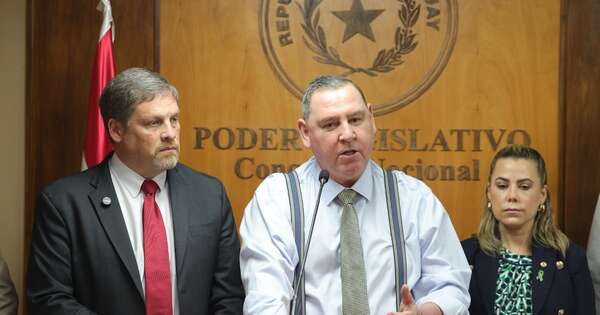La Nación / Titular de Asuntos Constitucionales considera pertinente convocar a Mario Abdo ante la comisión