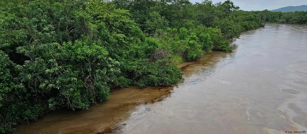 Ecuador: emergencia ambiental por otro derrame de petróleo - ADN Digital