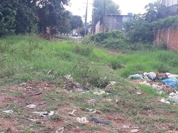 Ñemby: exigen reparación de una calle y la limpieza de baldíos - Nacionales - ABC Color