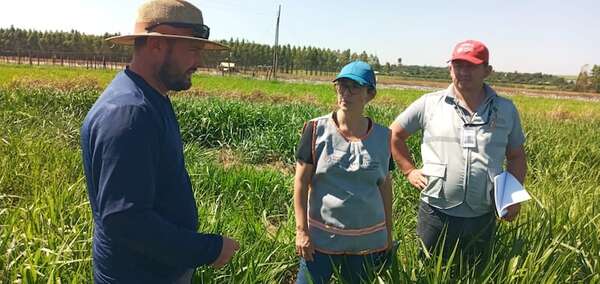 Encuesta Nacional Agropecuaria se inicia hoy: todo lo que hay que saber sobre el relevamiento - Economía - ABC Color