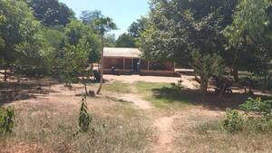 Buscan a hombre que asesinó a puñaladas a su esposa frente a su hija en Yby Yaú - 1000 Noticias