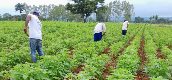 Encuesta Nacional Agropecuaria ya relevó un 14% con productores especiales - 1000 Noticias