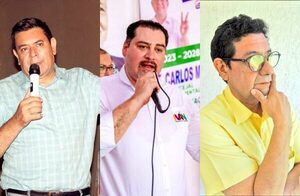 PLRA persigue estrategia de división en CDE para facilitar un triunfo de la ANR - La Clave