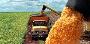 Cosecha r茅cord y tierras listas: Brasil, dispuesto a capitalizar la guerra comercial