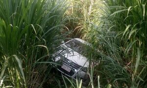 Auto se deslizó solo hasta un matorral y dueño denunció que se le robó